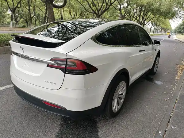 Tesla Model X 2019
