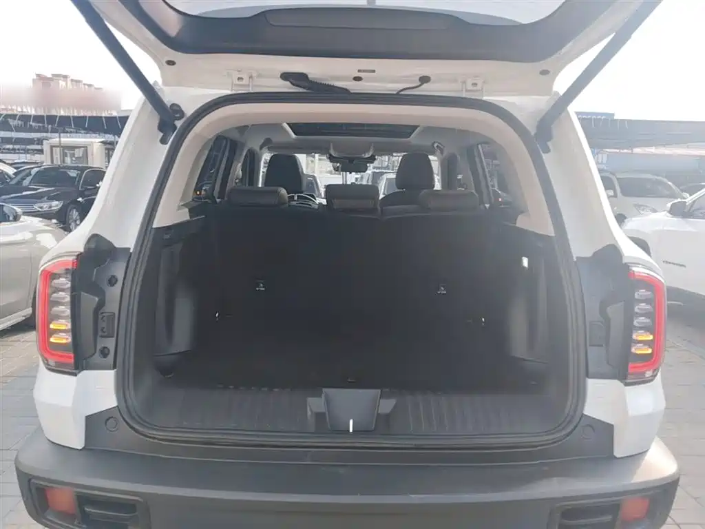 Haval Big Dog 2025 — фото 19