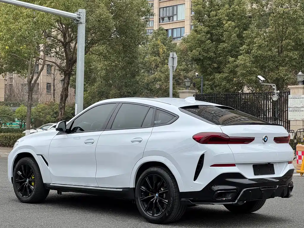 BMW X6 2021 — фото 6