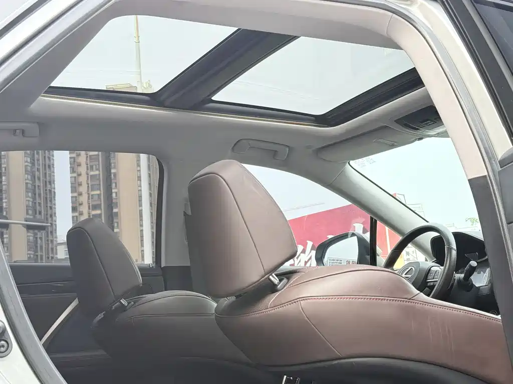 Lexus RX 2020 — фото 17