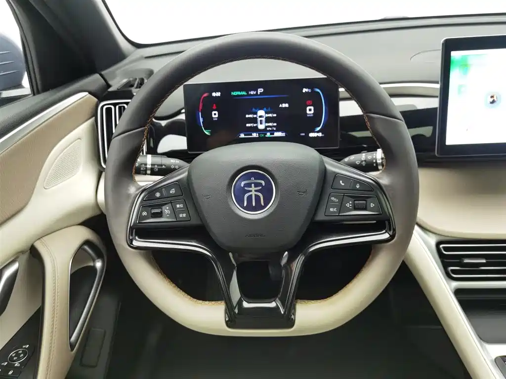 BYD Pro New Energy 2024 — фото 11