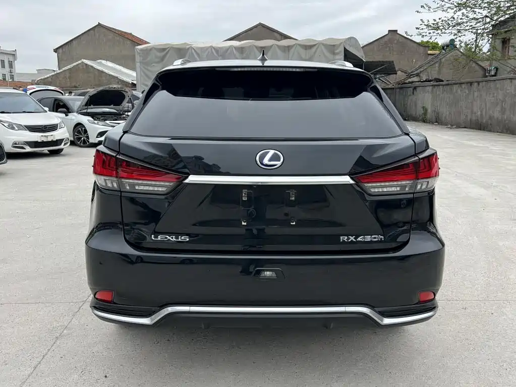 Lexus RX 2020 — фото 18