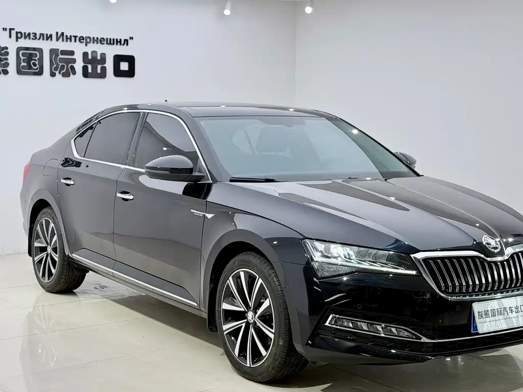 Skoda Speedy 2024