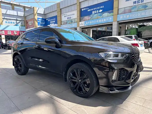 Wey VV5 2019