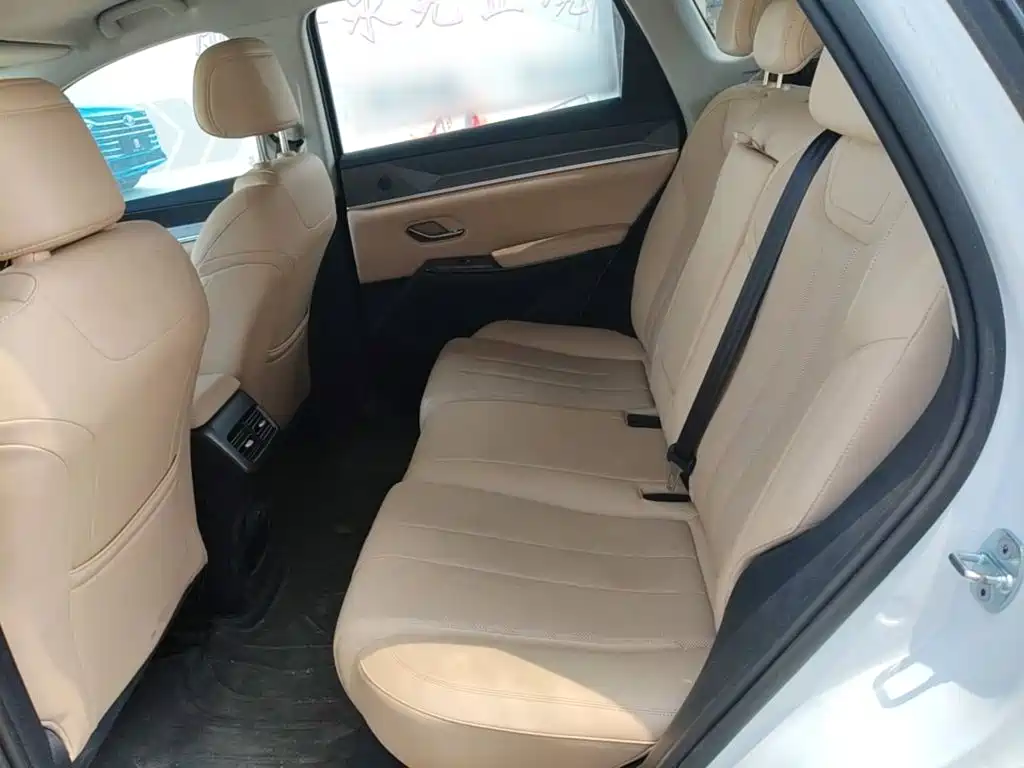 BYD Song Pro New Energy 2025 — фото 17