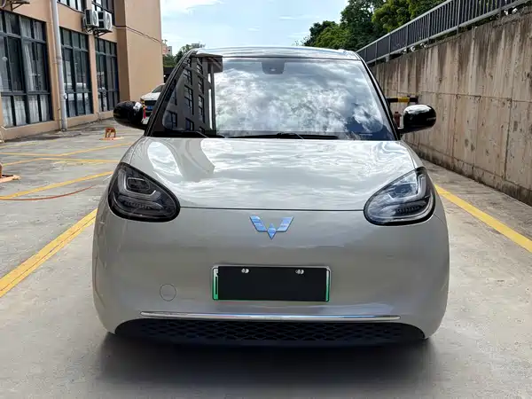 Wuling Bingo 2024