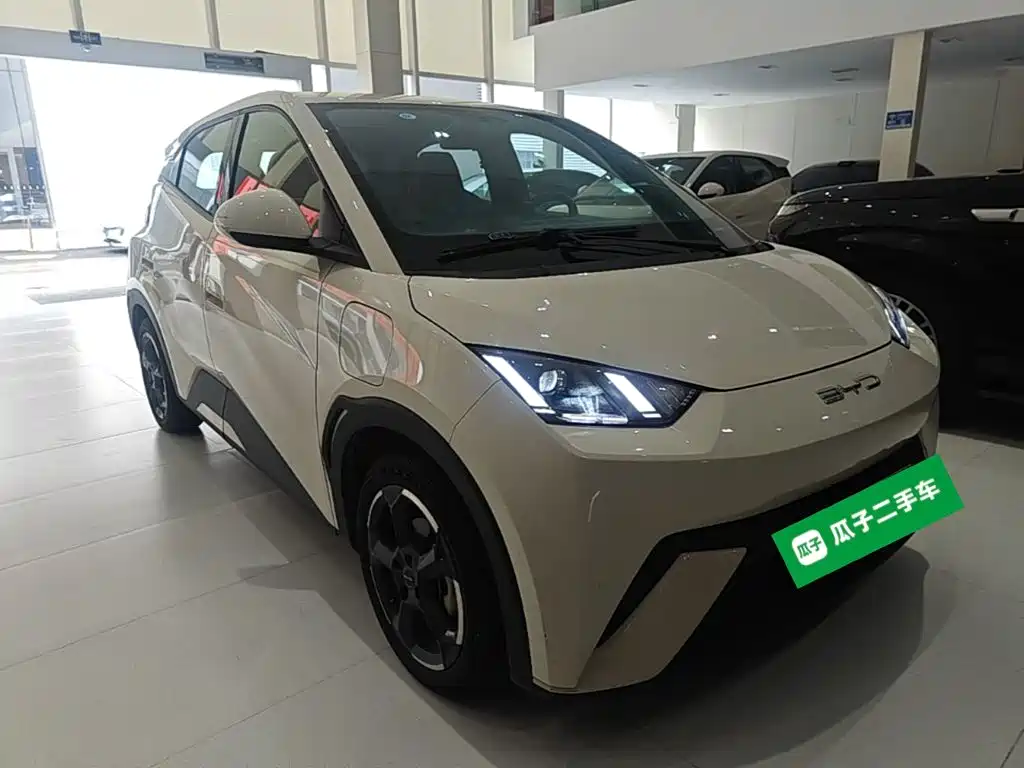 BYD Seagull 2024
