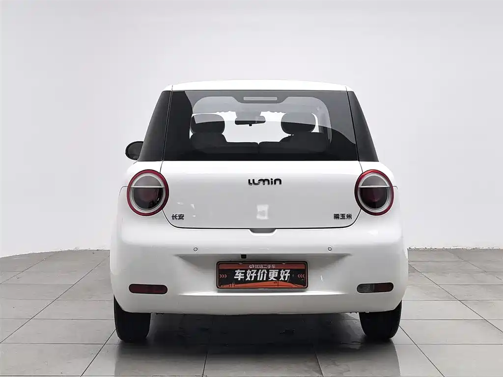 Qiyuan Lumin 2025