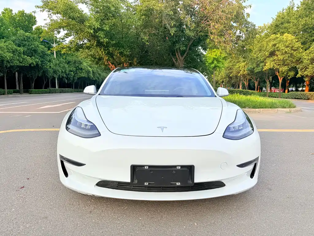 Tesla Model 3 2019 — фото 2