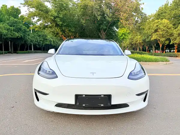 Tesla Model 3 2019