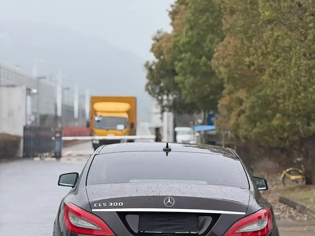 Mercedes-Benz CLS 2013 — фото 4