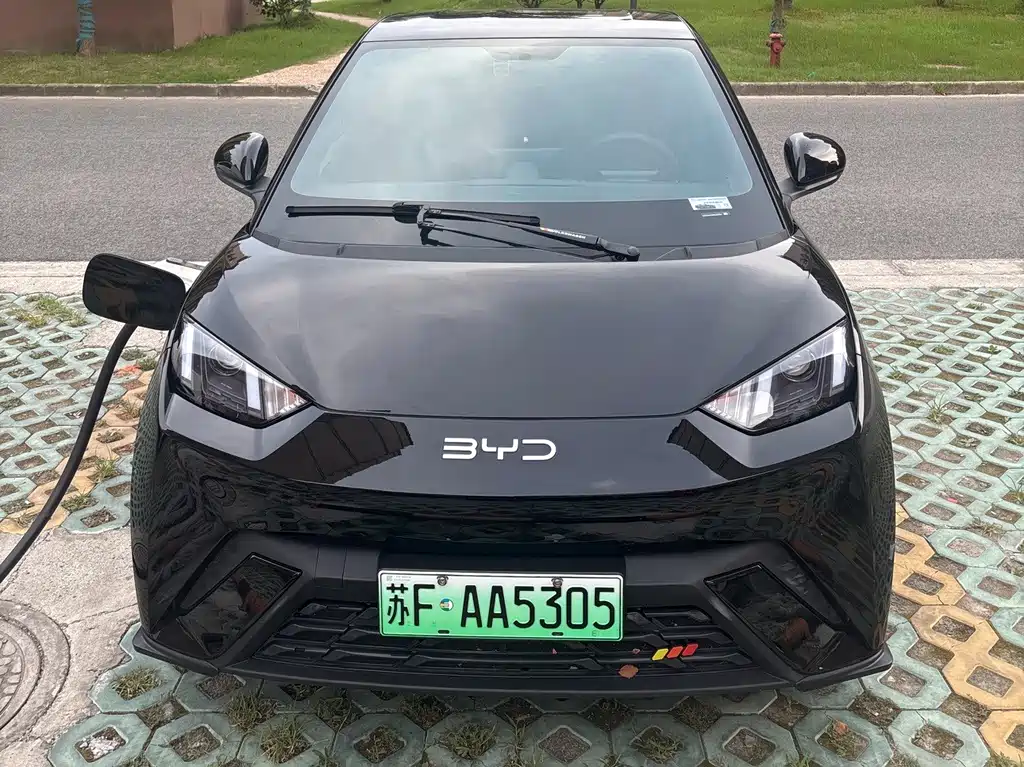BYD Seagull 2025