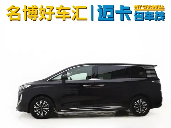 Hongqi HQ9 PHEV 2024