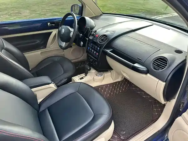 Volkswagen Beetle 2009