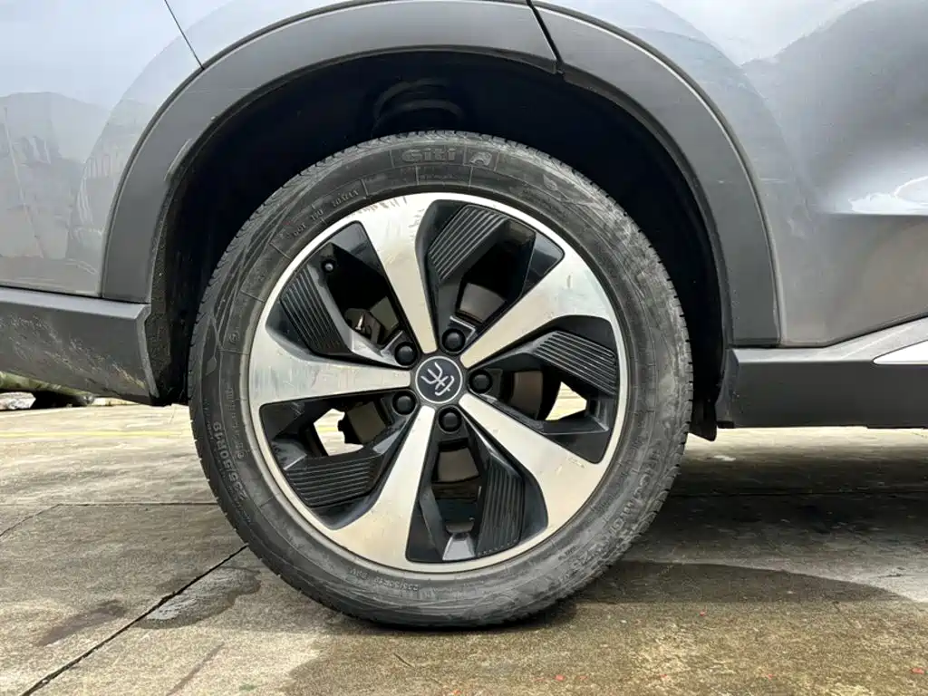 BYD Song PLUS New Energy 2021 — фото 24