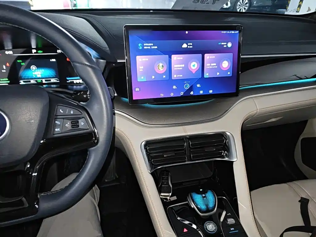 BYD PLUS New Energy 2023 — фото 10