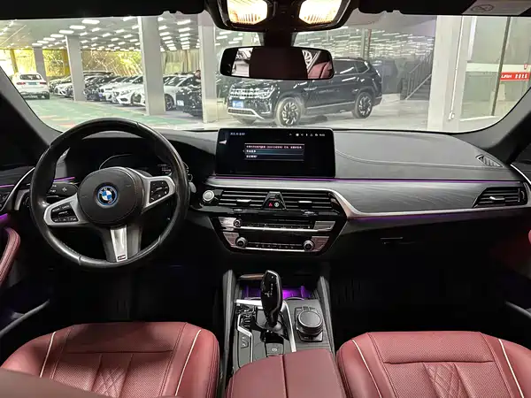 BMW 5 Series New Energy 2022