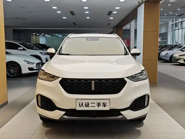 Wey VV6 2018