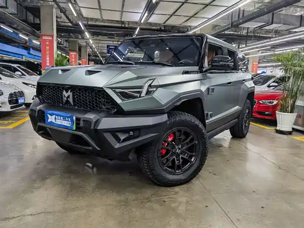 Mengshi 917 2023