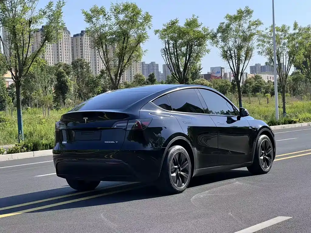 Tesla Model Y 2021 — фото 24