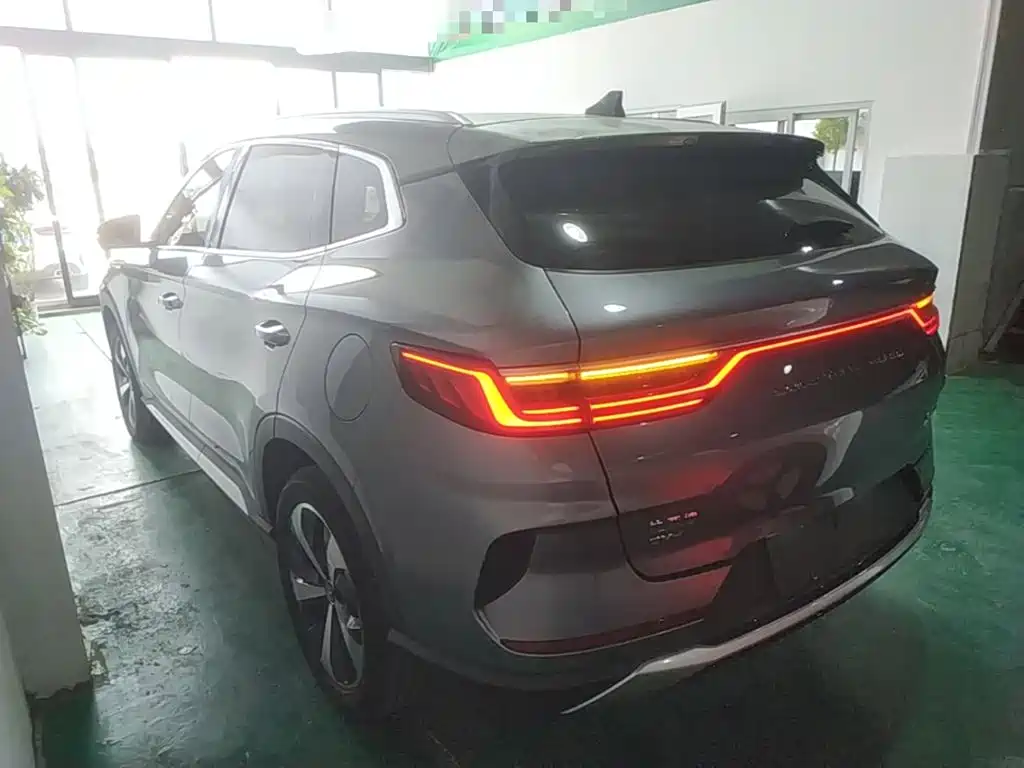 BYD PLUS New Energy 2022 — фото 5