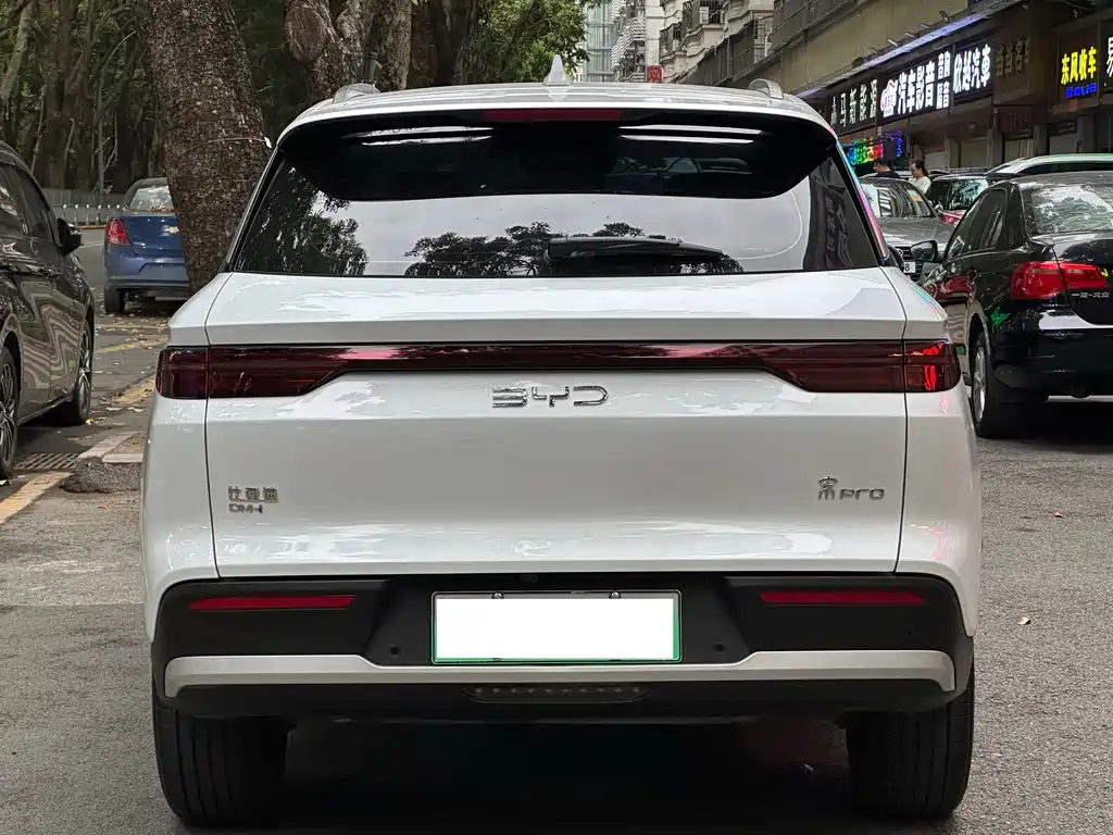 BYD Pro New Energy 2025 — фото 2