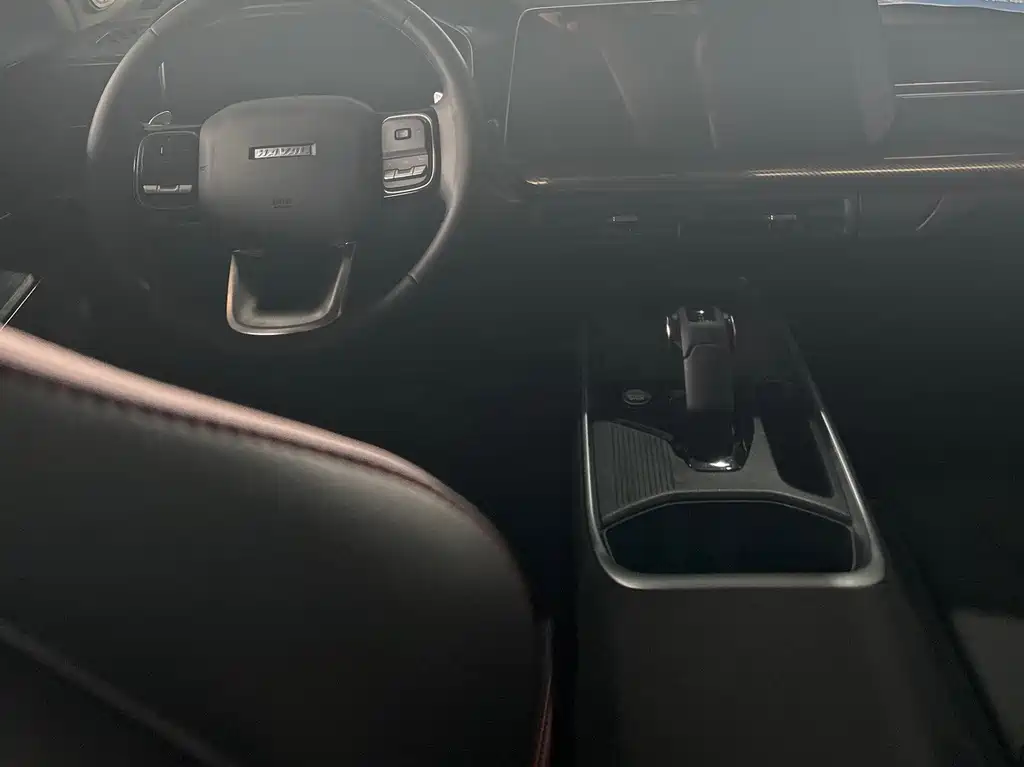 Haval Cool Dog 2022 — фото 12