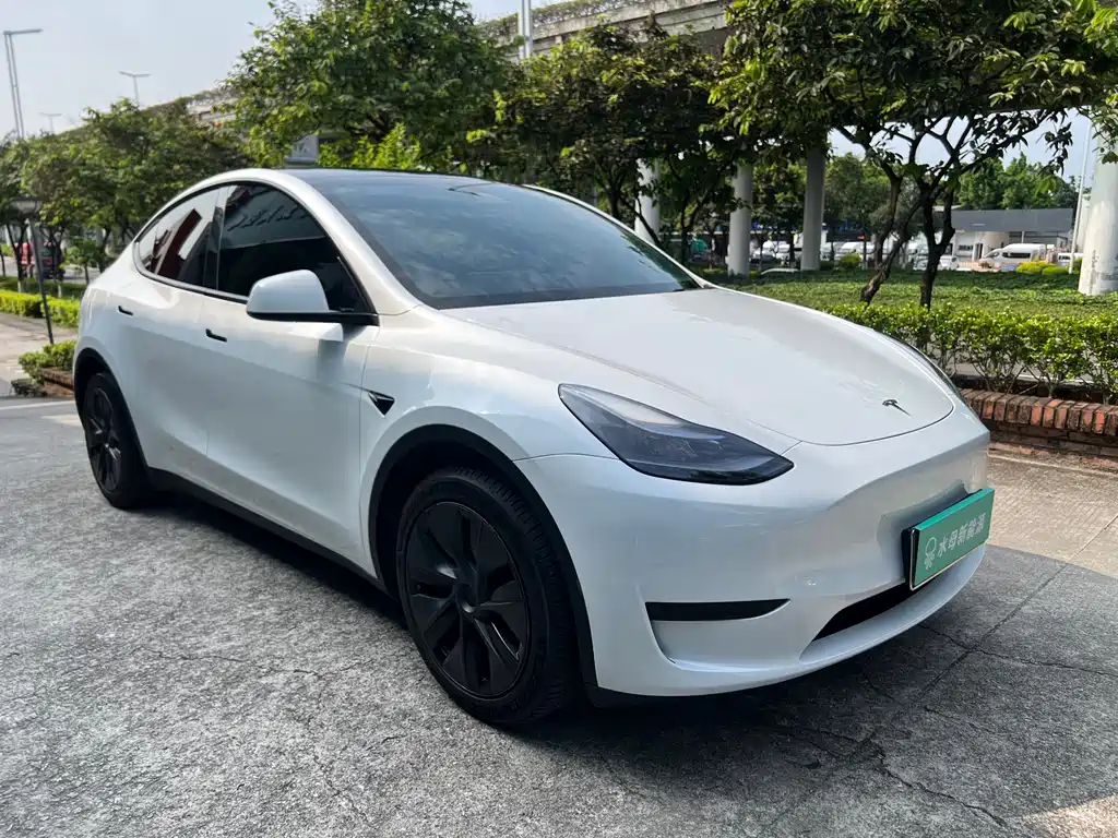 Tesla Model Y 2024 — фото 1