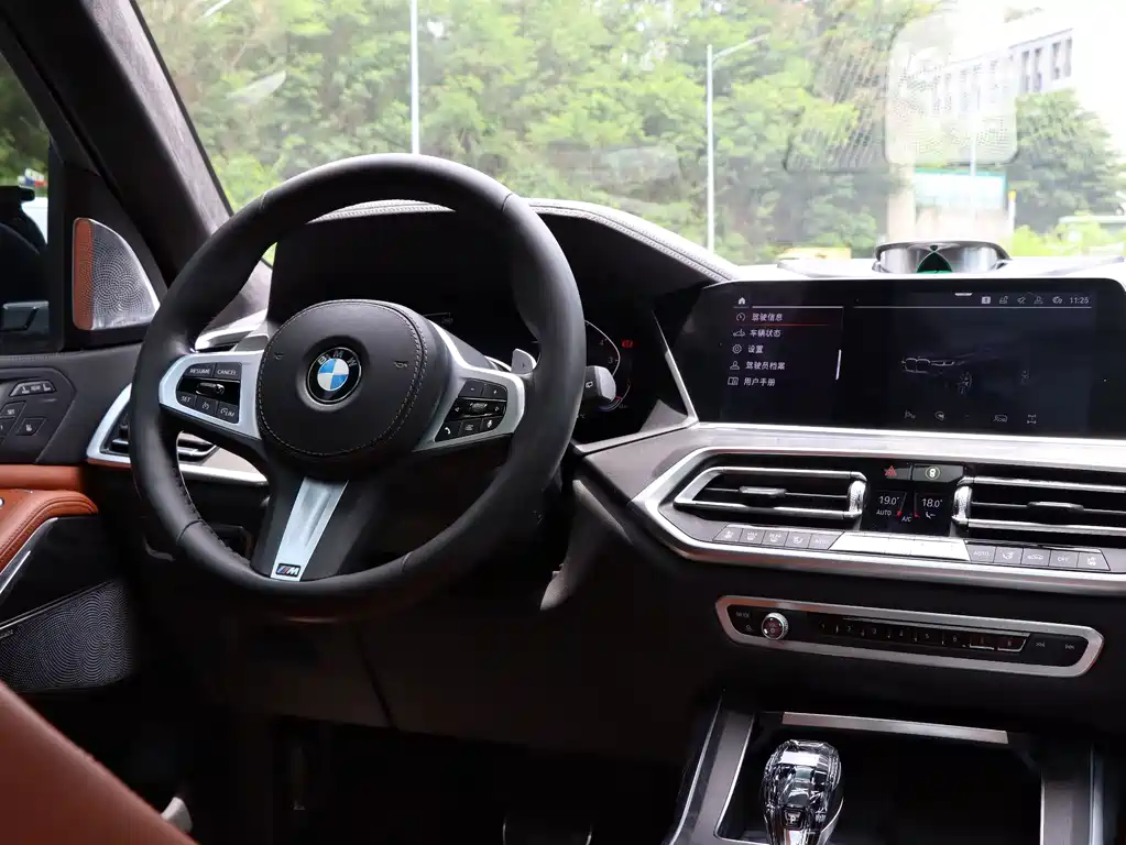 BMW X7 2020 — фото 16