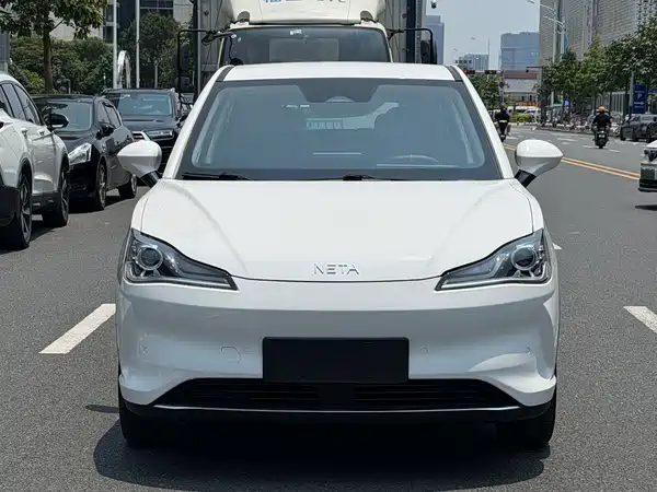 Neta V 2023