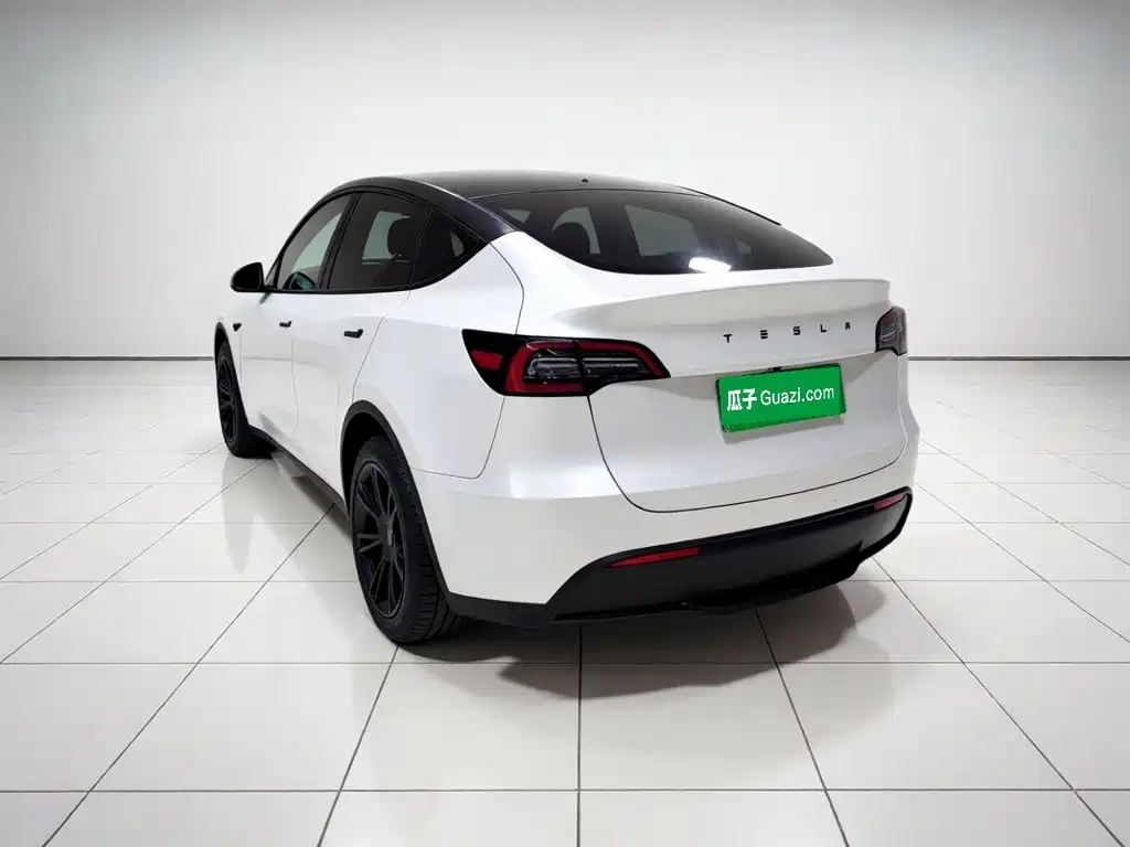 Tesla Model Y 2023 — фото 4