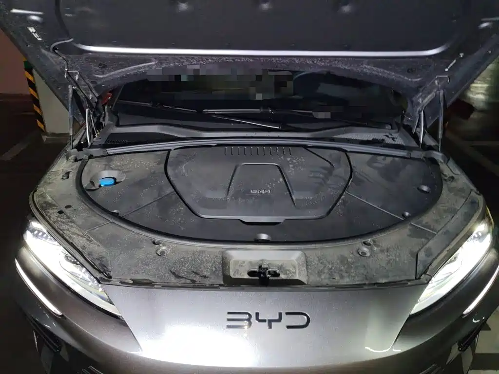 BYD Song PLUS New Energy 2024 — фото 21