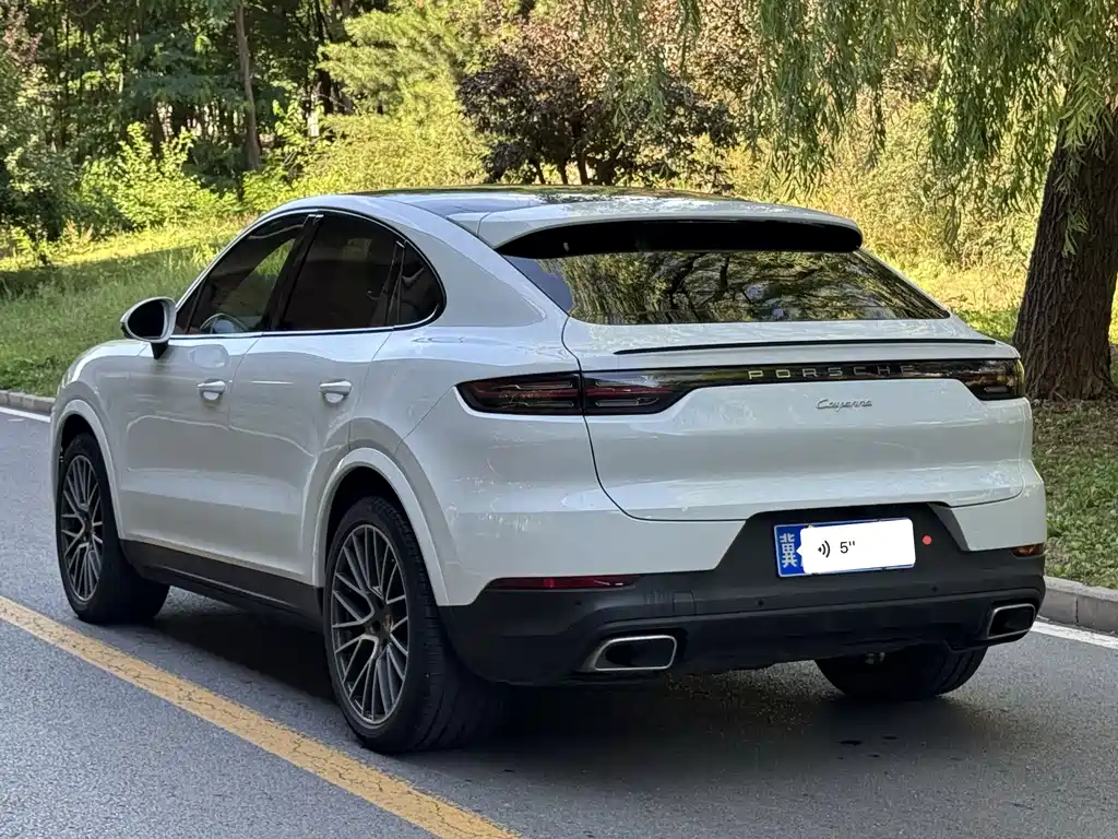 Porsche Cayenne 2022 — фото 16
