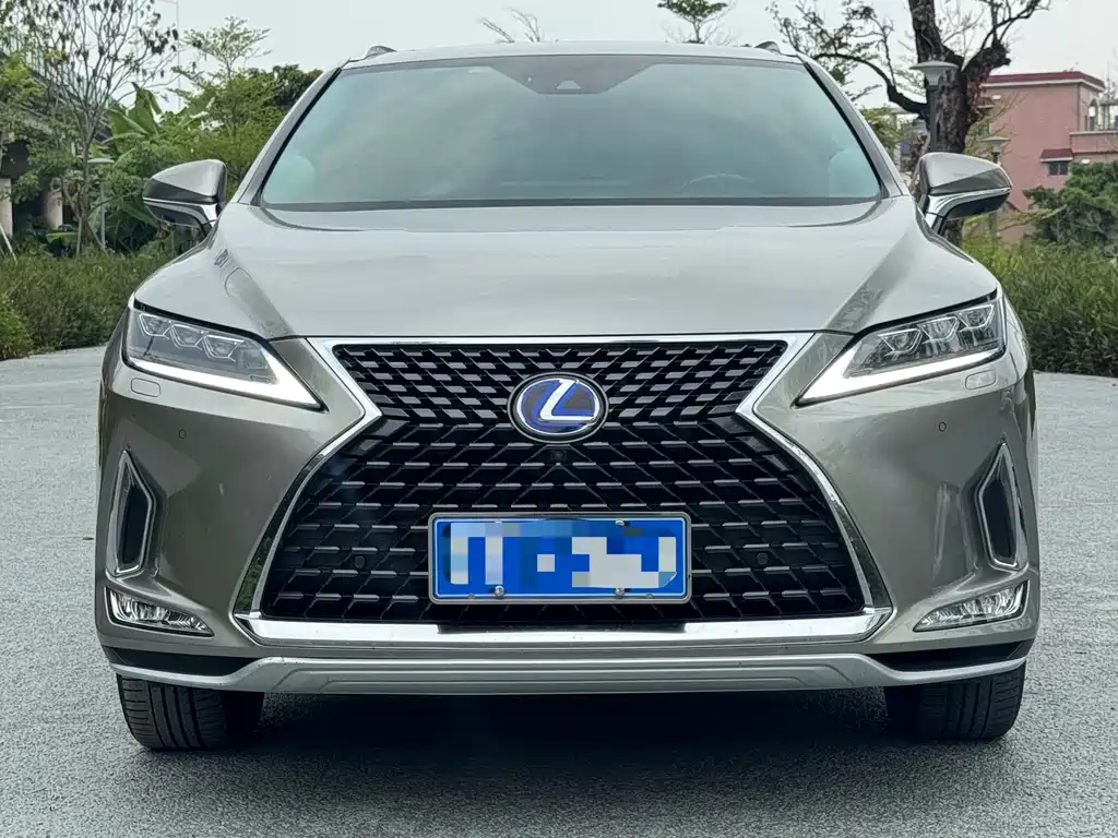 Lexus RX 2020 — фото 2
