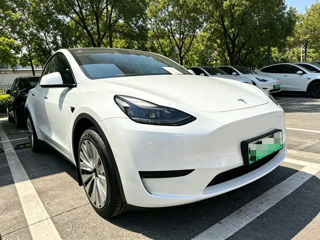 Tesla Model Y 2024 — фото 3