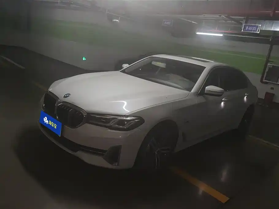 BMW 5 Series New Energy 2021