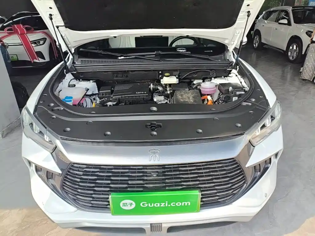 BYD Song Pro New Energy 2024 — фото 20