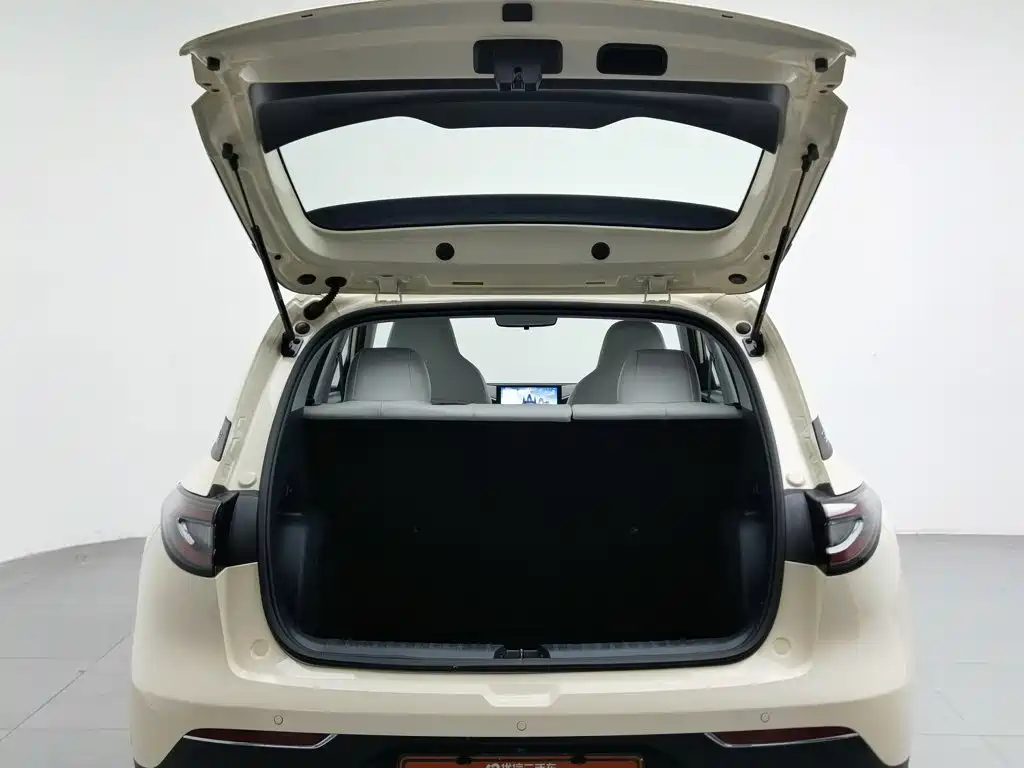 Geely Galaxy Starwish 2025 — фото 16