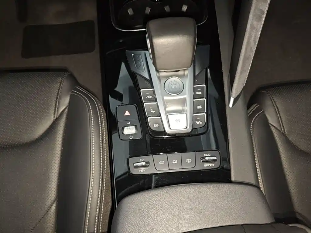BYD Song Pro New Energy 2019 — фото 10