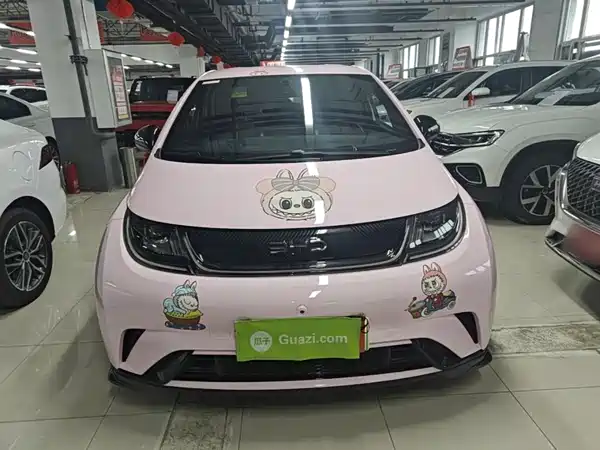 BYD Dolphin 2024