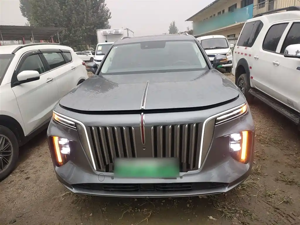 Hongqi E-HS9 2023 — фото 19