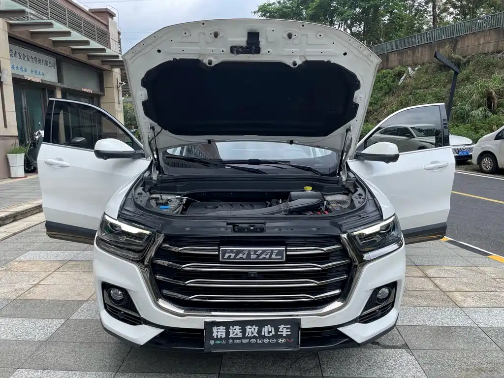Haval H6 2023 — фото 18