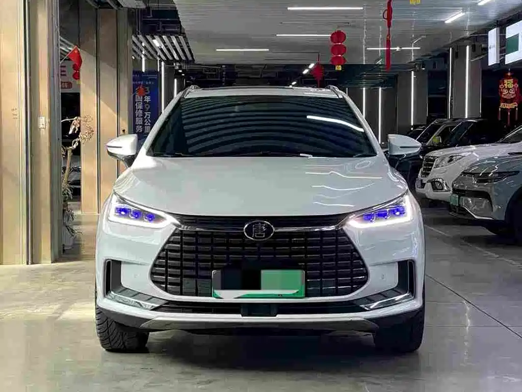 BYD Tang New Energy 2019 — фото 2