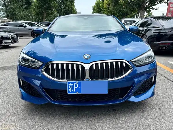 BMW 8 Series 2021
