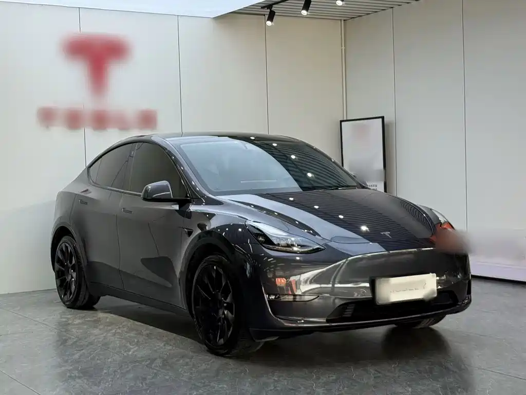 Tesla Model Y 2021 — фото 4