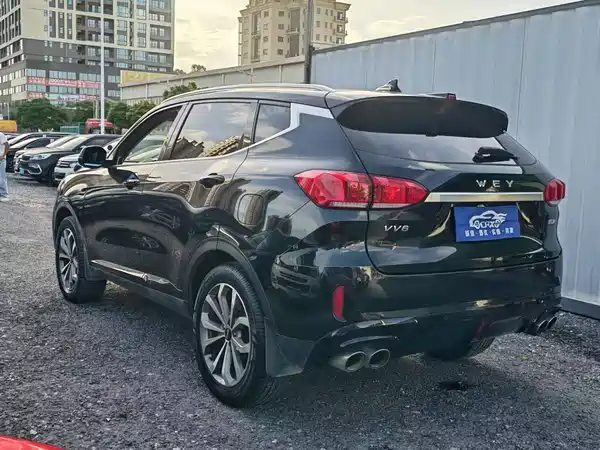 Wey VV6 2019