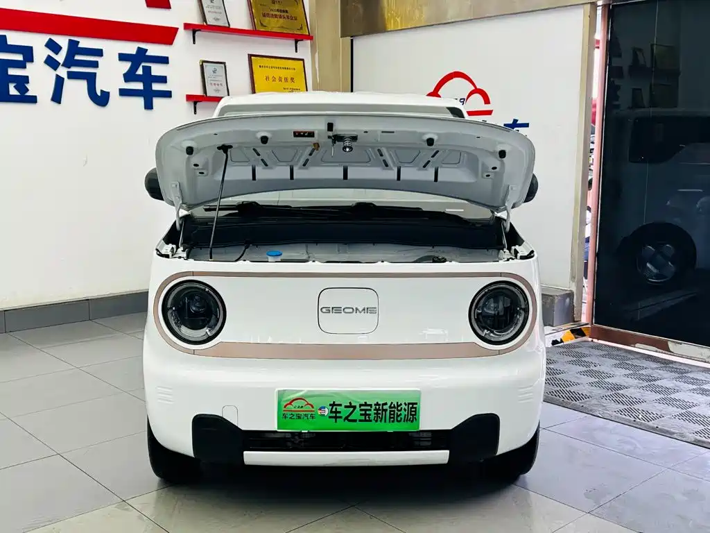 Geely Galaxy Panda 2023 — фото 22