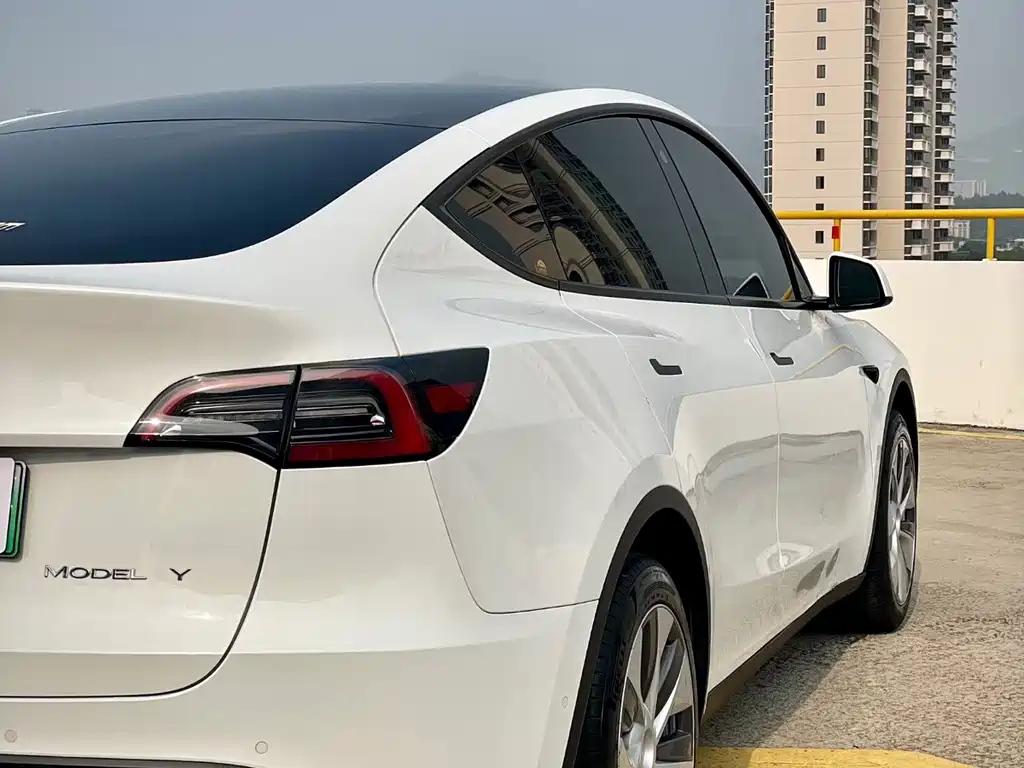 Tesla Model Y 2023 — фото 6