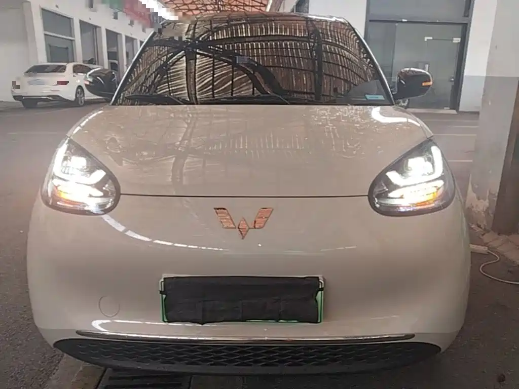 Wuling Bingo 2024
