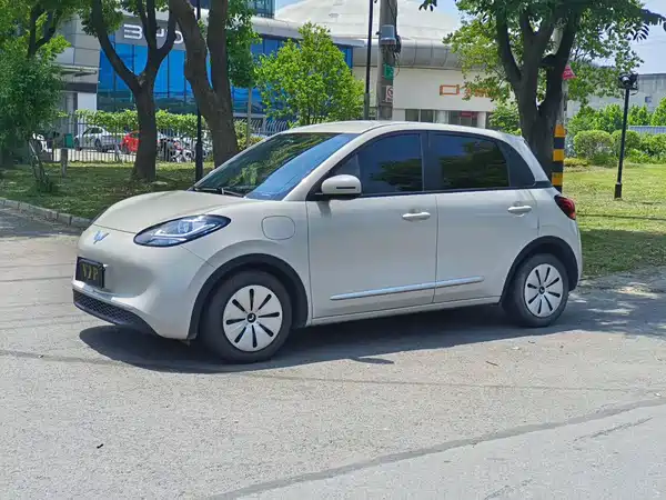 Wuling Bingo 2023